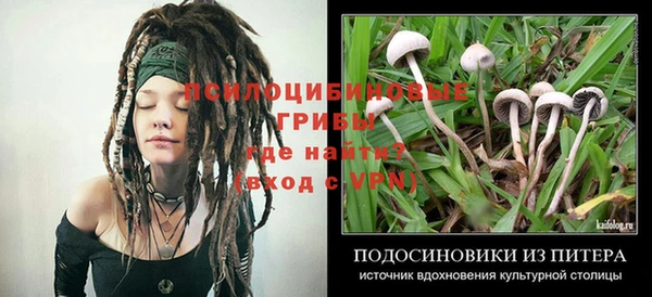 соль курить ск Аркадак