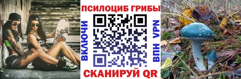 Псилоцибиновые грибы ЛСД  наркошоп  Полярные Зори 